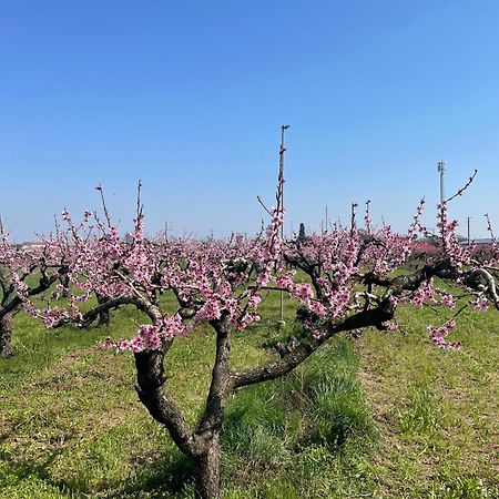 Agriturismo Corte Vecia Alloggio Della Corte Werona Zewnętrze zdjęcie